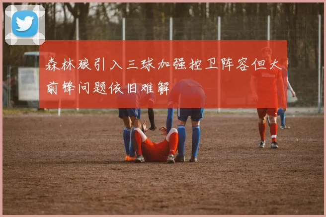 森林狼引入三球加强控卫阵容但大前锋问题依旧难解